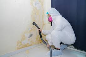 Best Residential Mold Inspection & Testing  in Gordon, GA